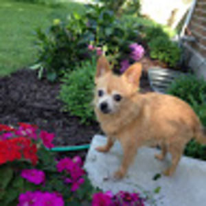 Meet your Posher, Amy